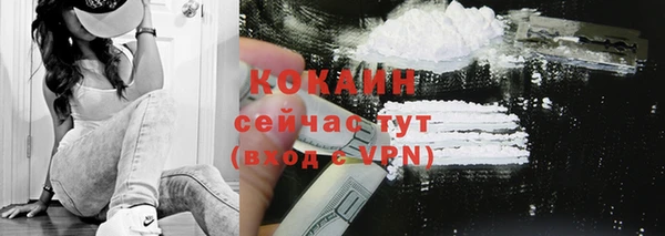 дурь Нея