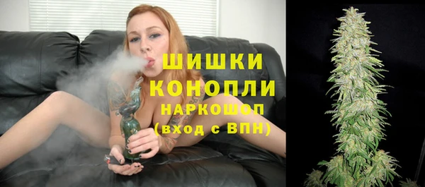 дурь Нея
