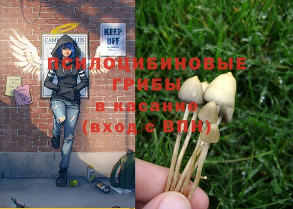 таблы Нефтекумск