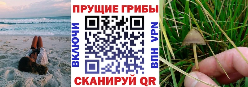 Галлюциногенные грибы ЛСД  где продают   Касли 